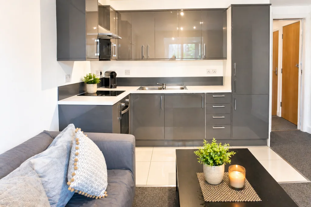 1 bedroom apartment for rent