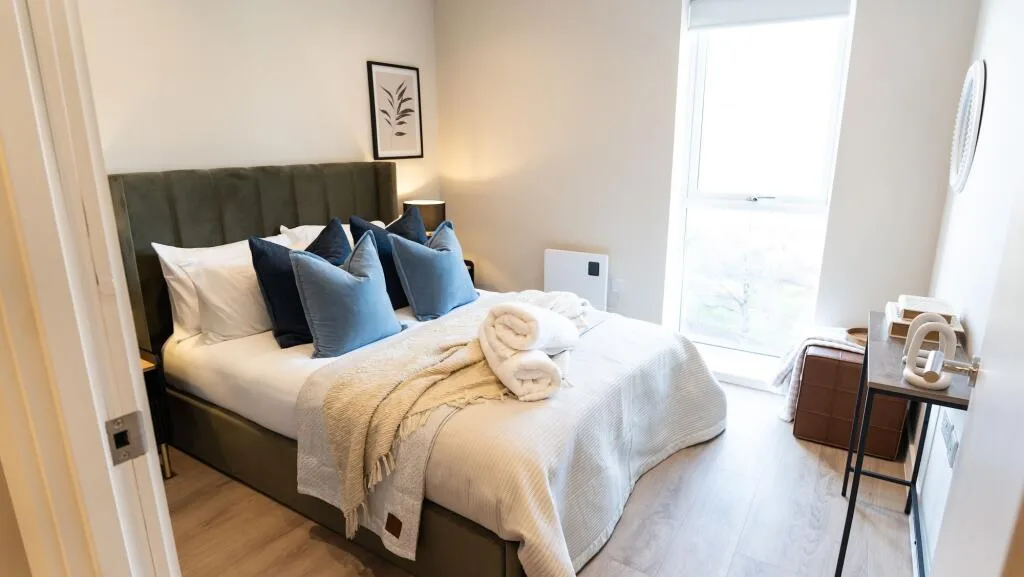 1 bedroom flat for rent