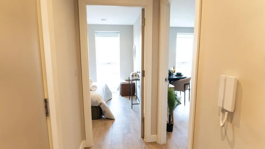 1 bedroom flat for rent