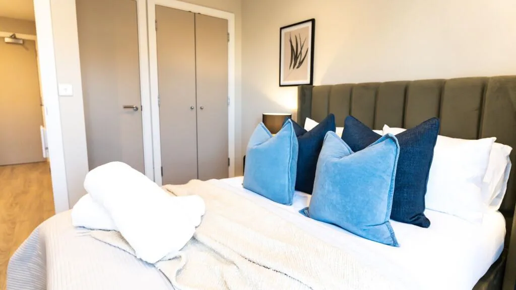1 bedroom flat for rent