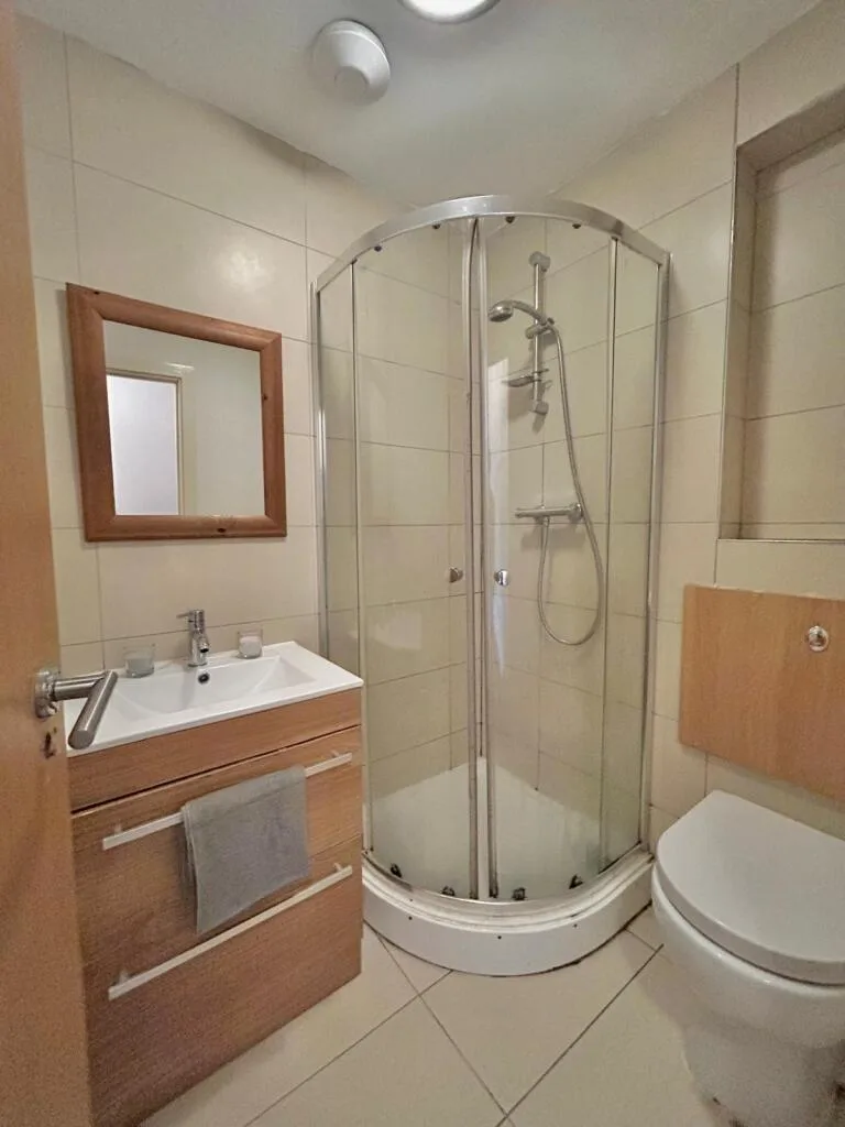 1 bedroom apartment for rent