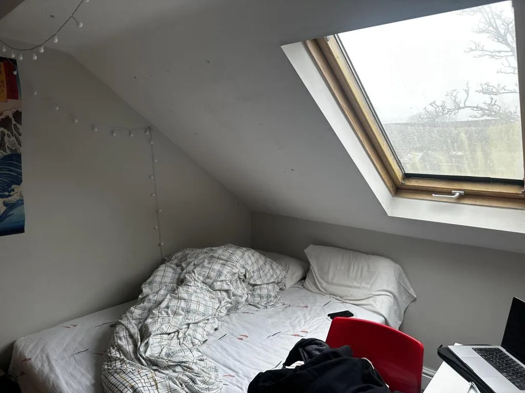 7 bedroom house for rent