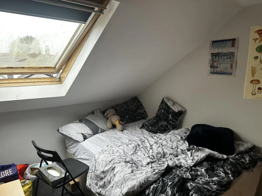 7 bedroom house for rent