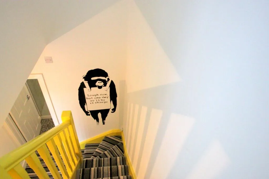 5 bedroom house for rent