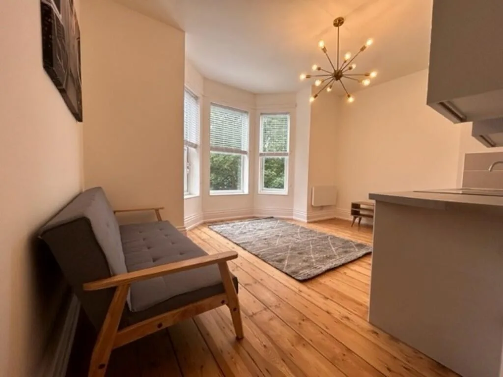 1 bedroom apartment for rent