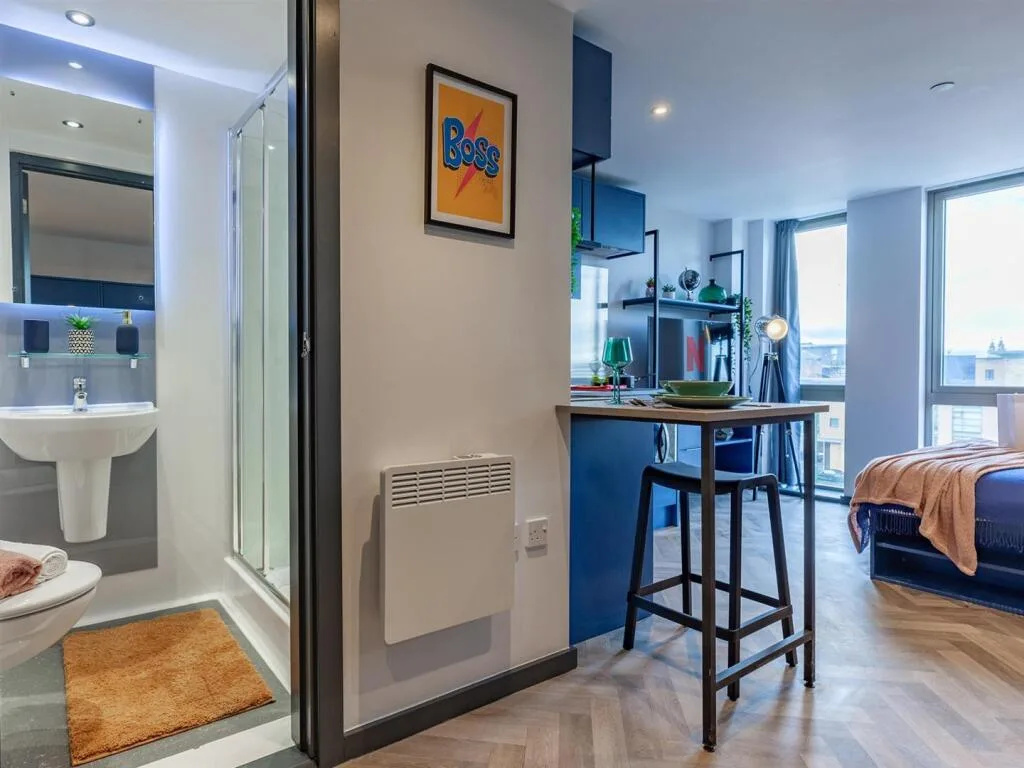 Studio flat for rent