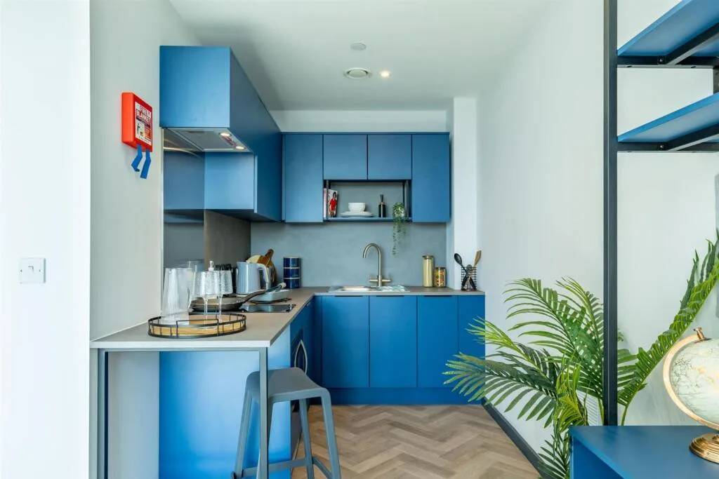 Studio flat for rent