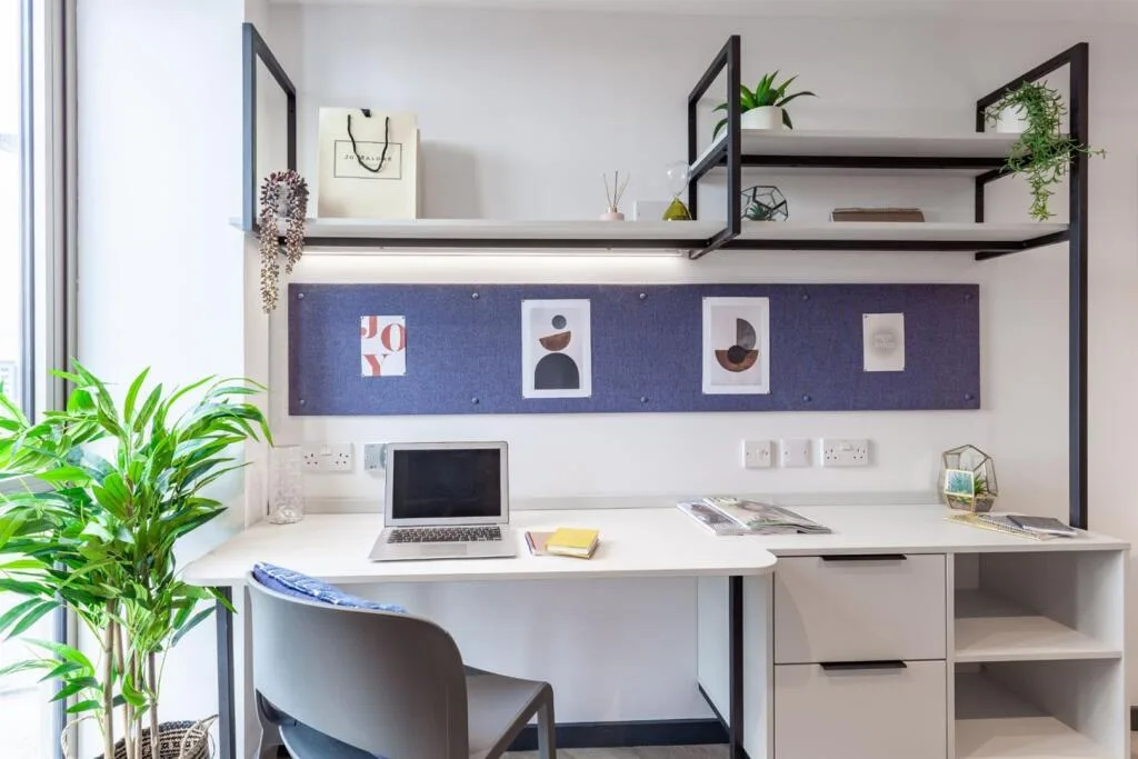 Studio flat for rent