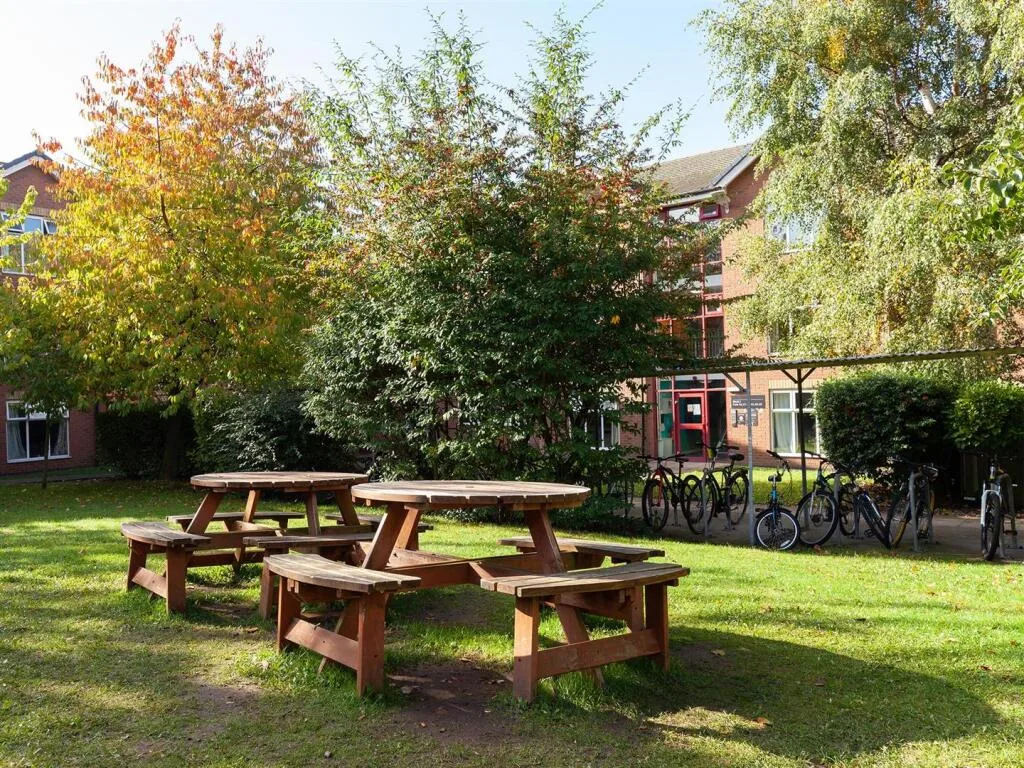 1 bedroom flat share for rent