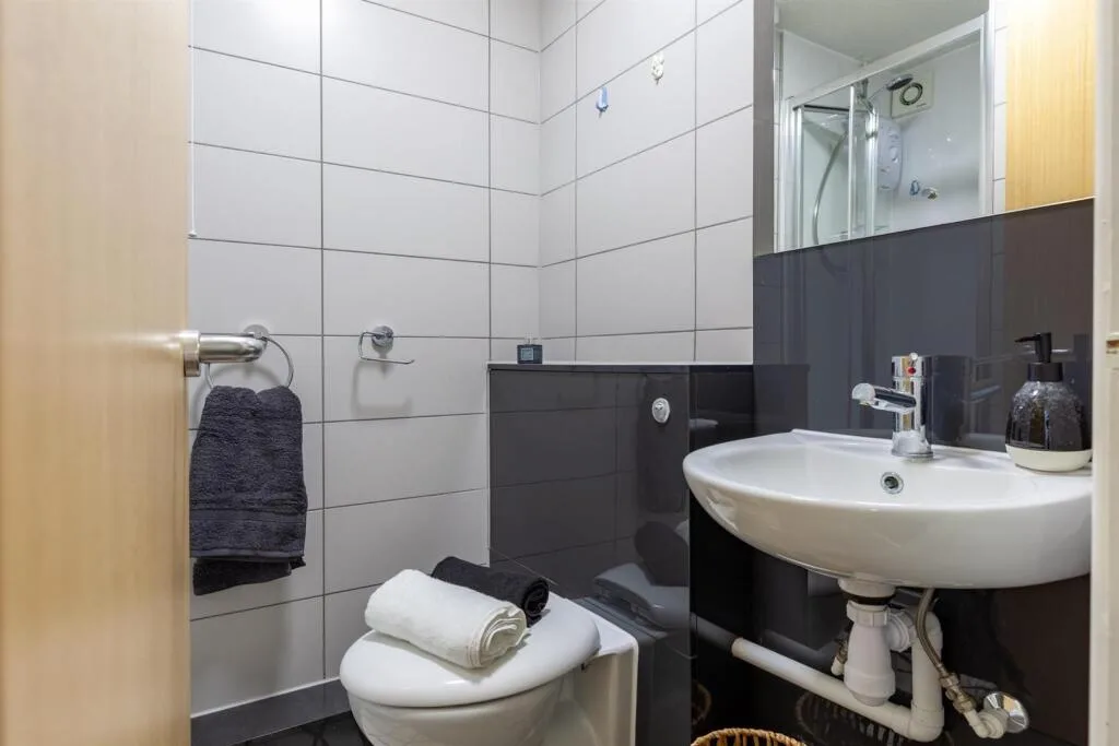 1 bedroom flat share for rent