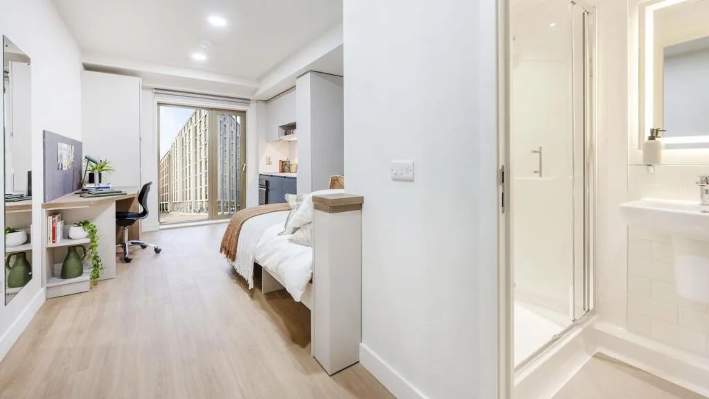 Studio flat for rent