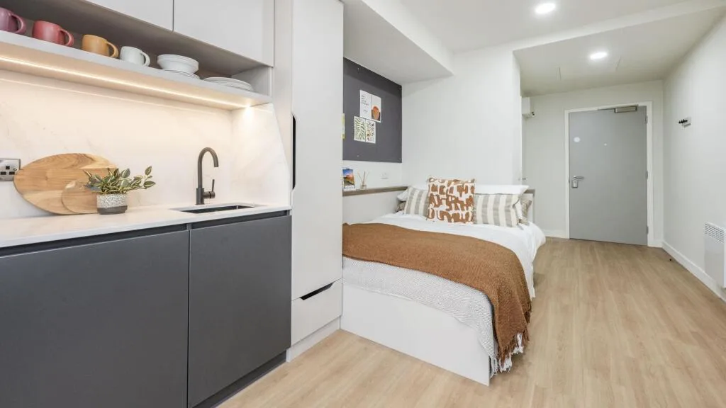 Studio flat for rent