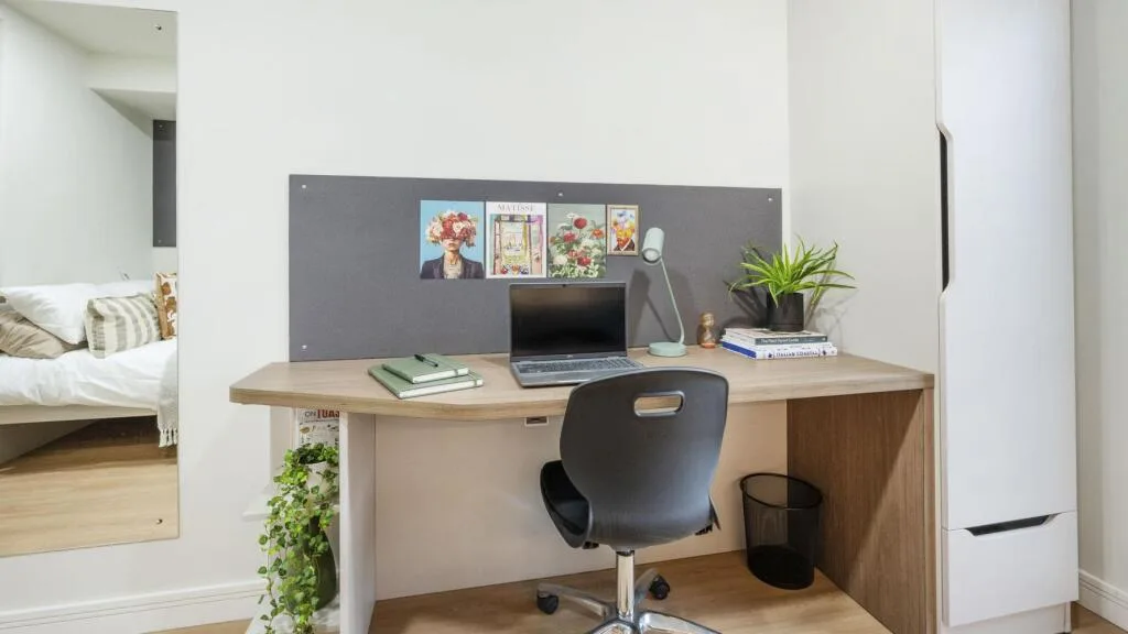 Studio flat for rent