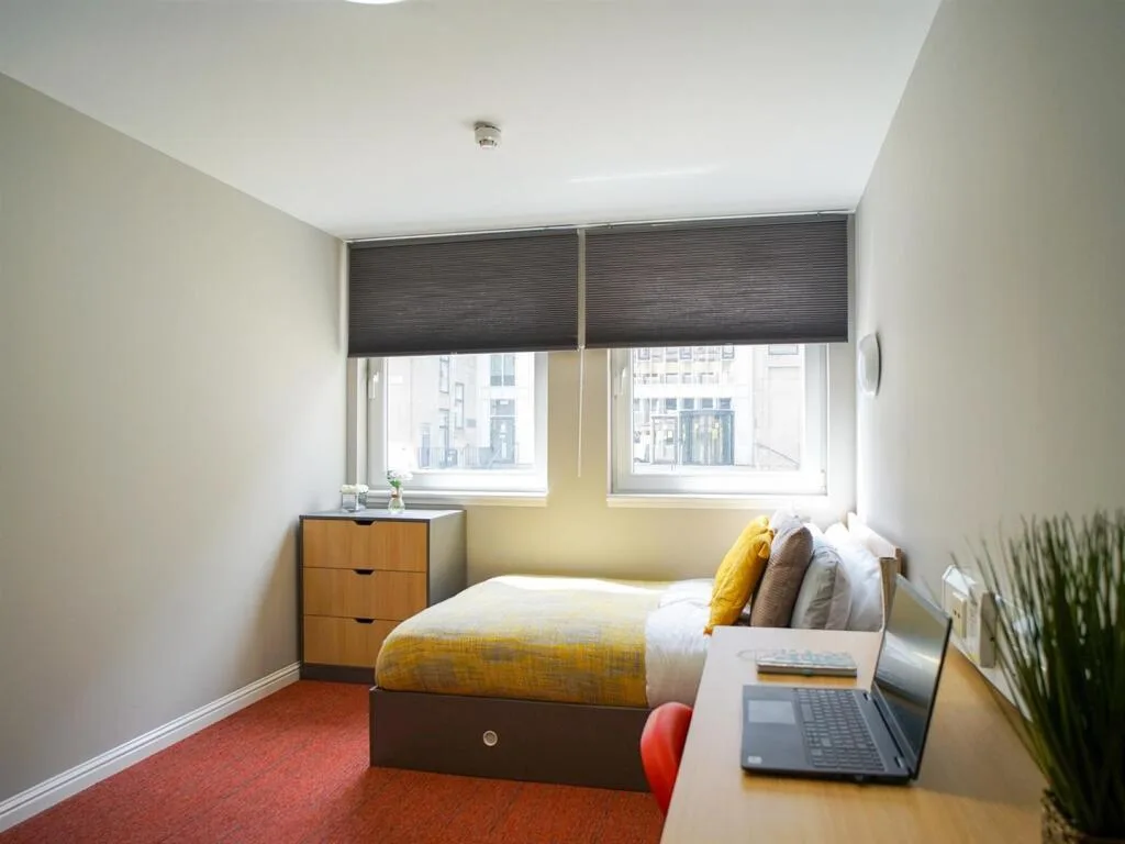 1 bedroom flat share for rent