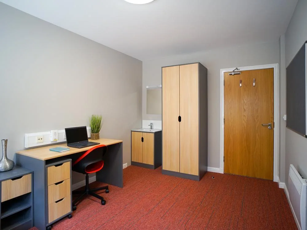 1 bedroom flat share for rent