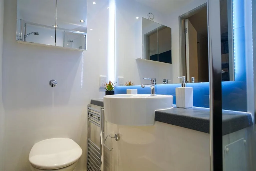 1 bedroom flat share for rent