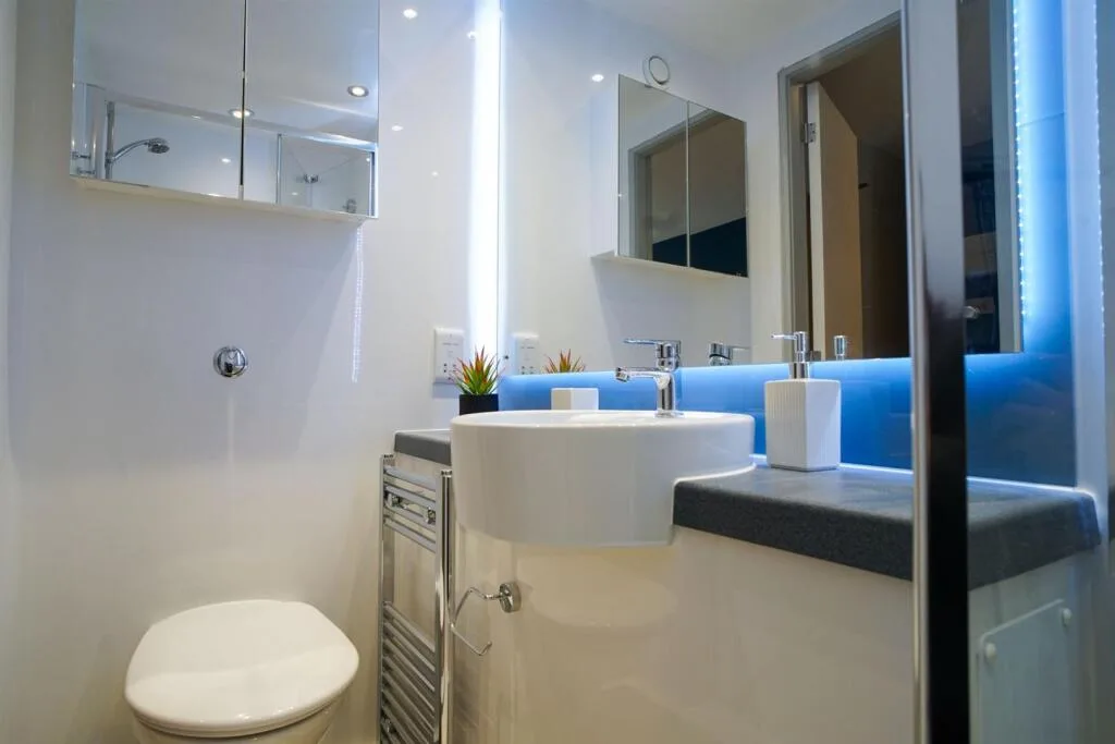 1 bedroom flat share for rent