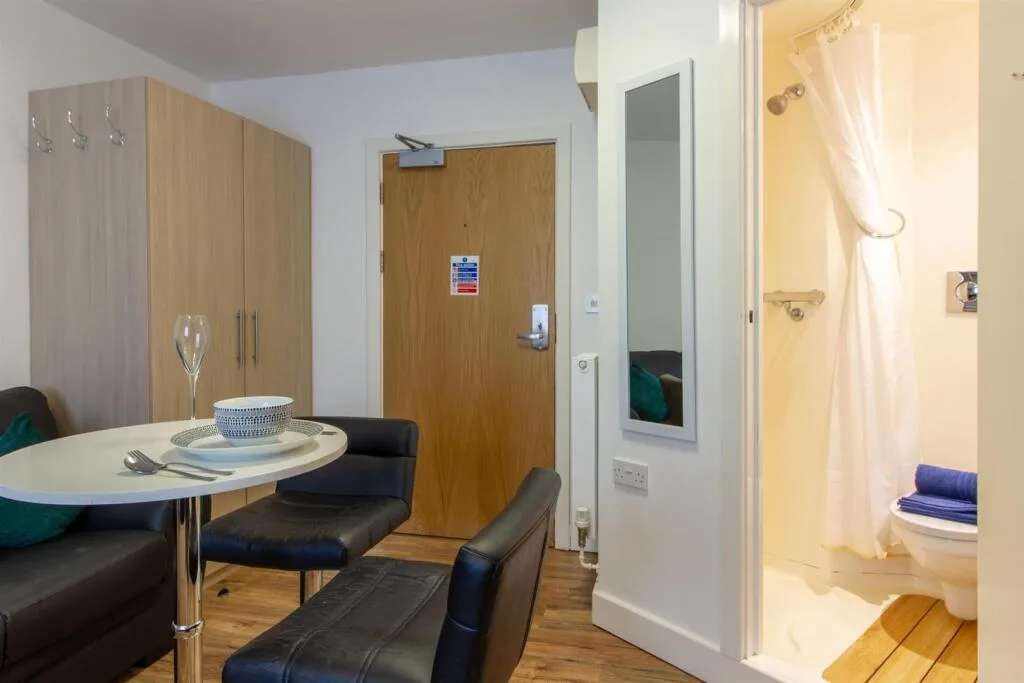 Studio flat for rent
