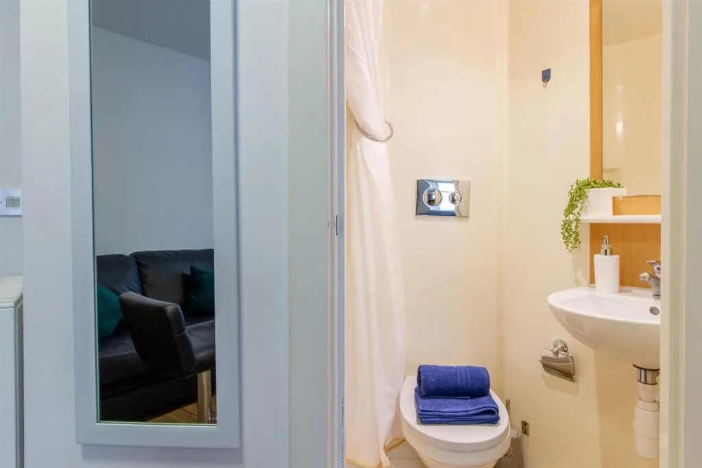 Studio flat for rent