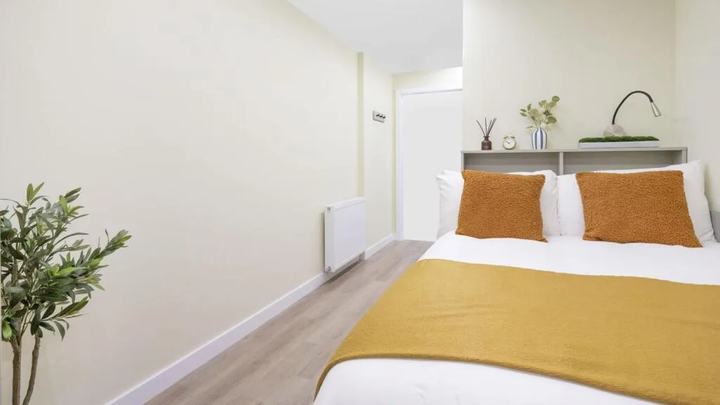 Studio flat for rent