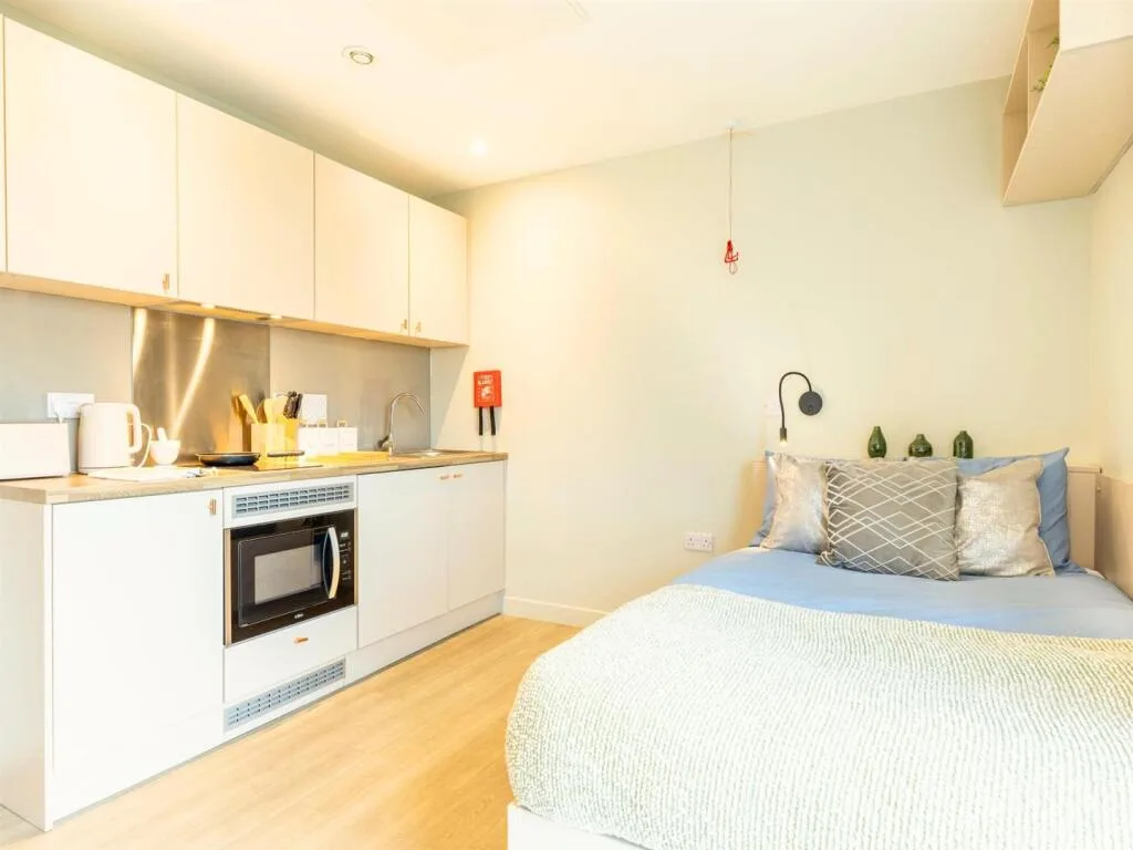Studio flat for rent