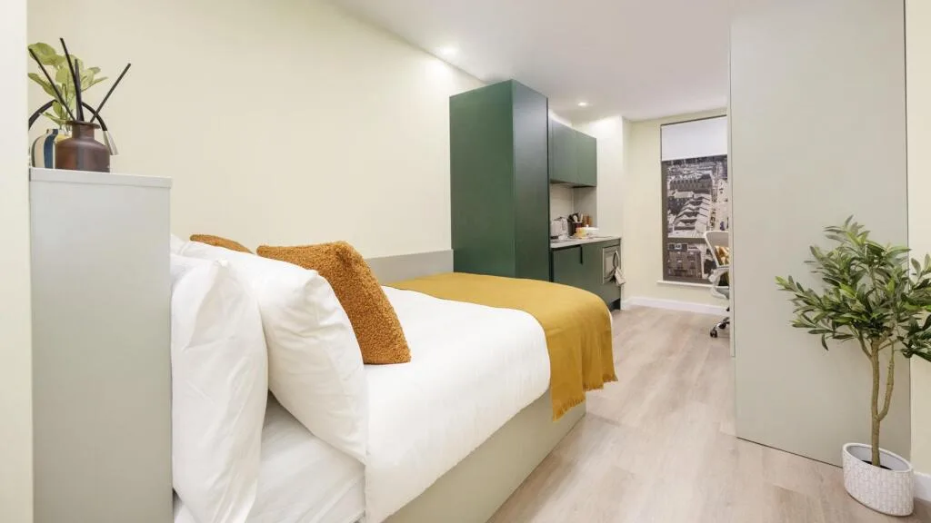Studio flat for rent