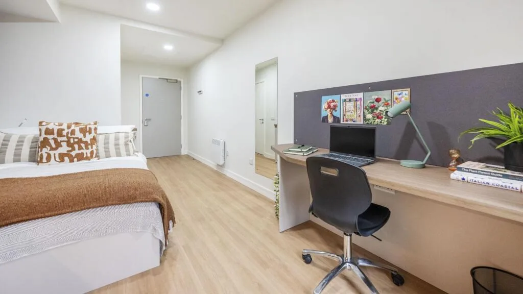 Studio flat for rent