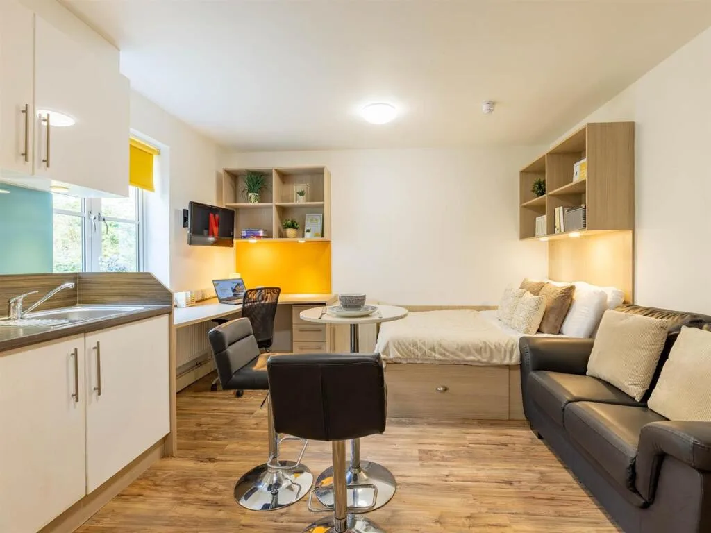 Studio flat for rent