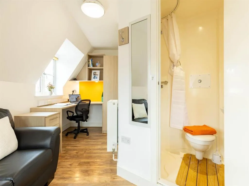 Studio flat for rent