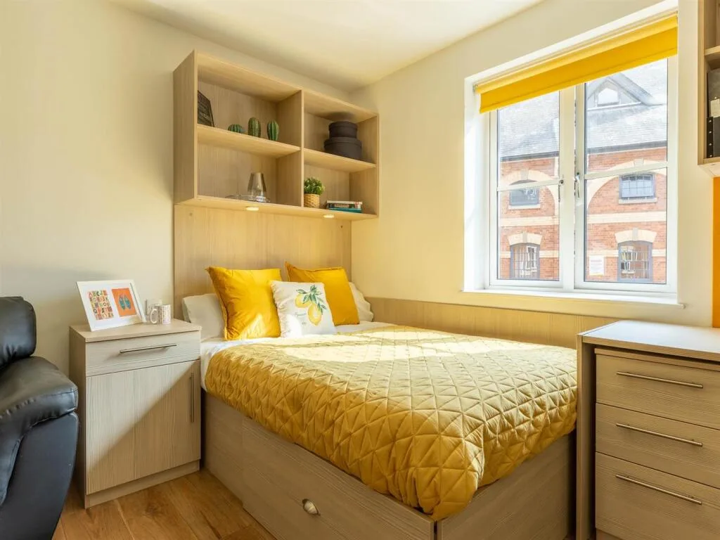 Studio flat for rent