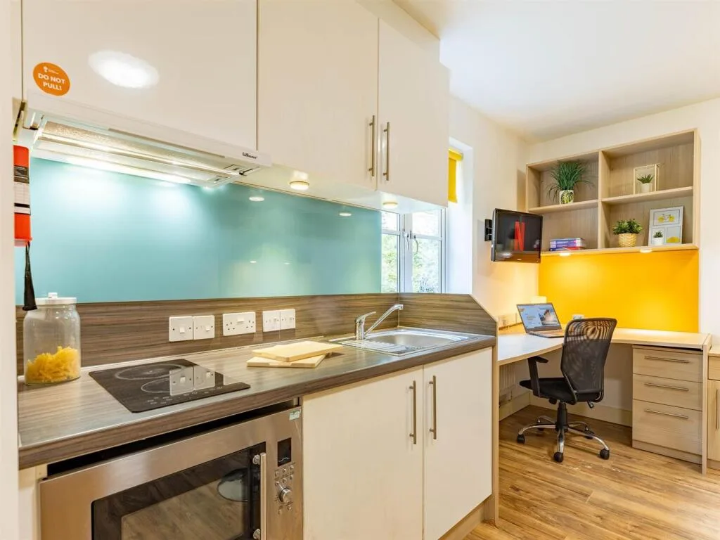 Studio flat for rent