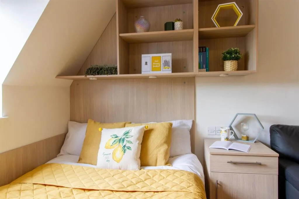 Studio flat for rent