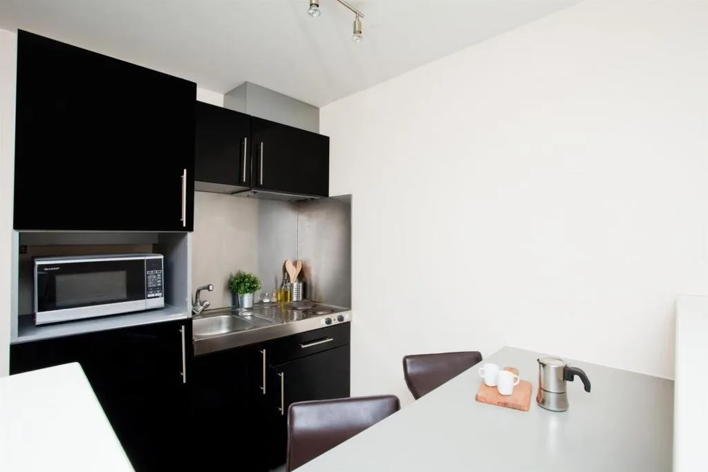 Studio flat for rent