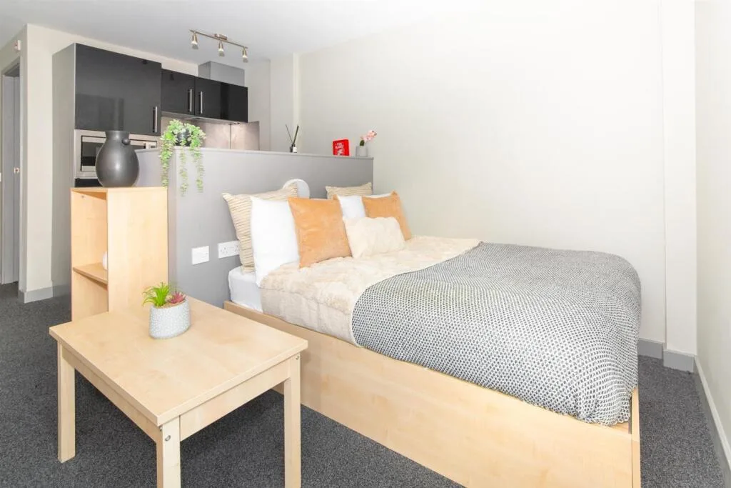 Studio flat for rent