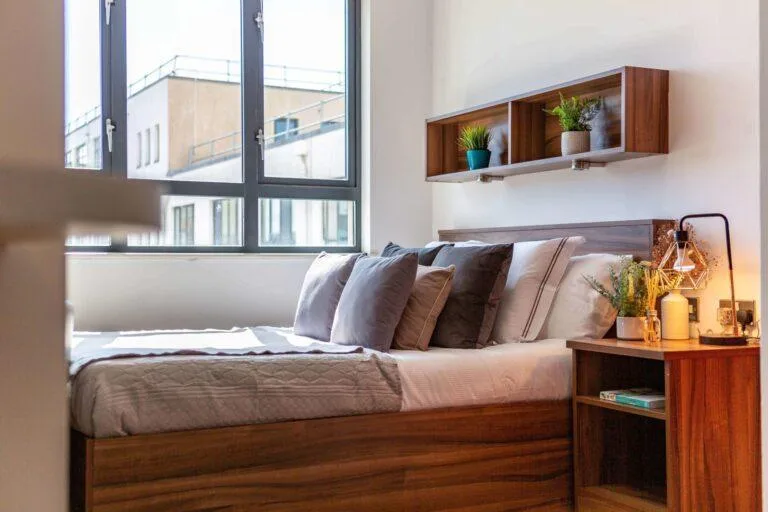Studio flat for rent