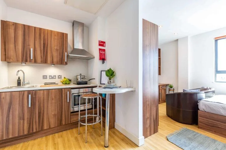Studio flat for rent