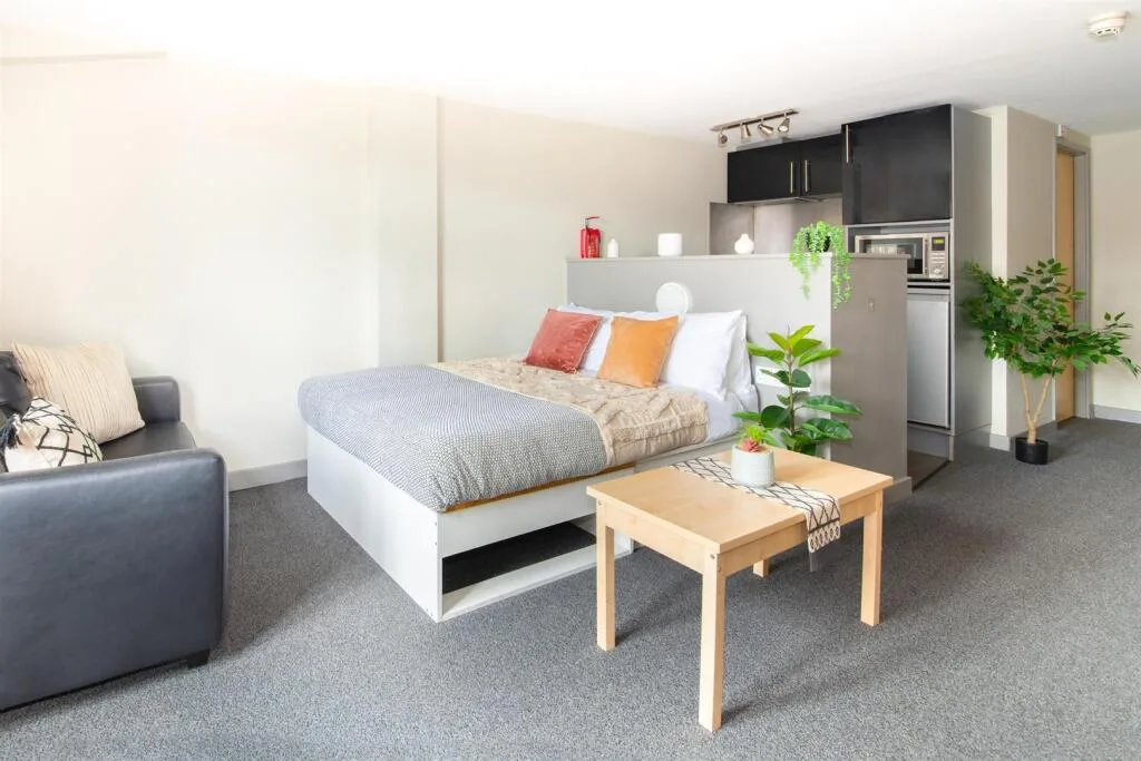 Studio flat for rent