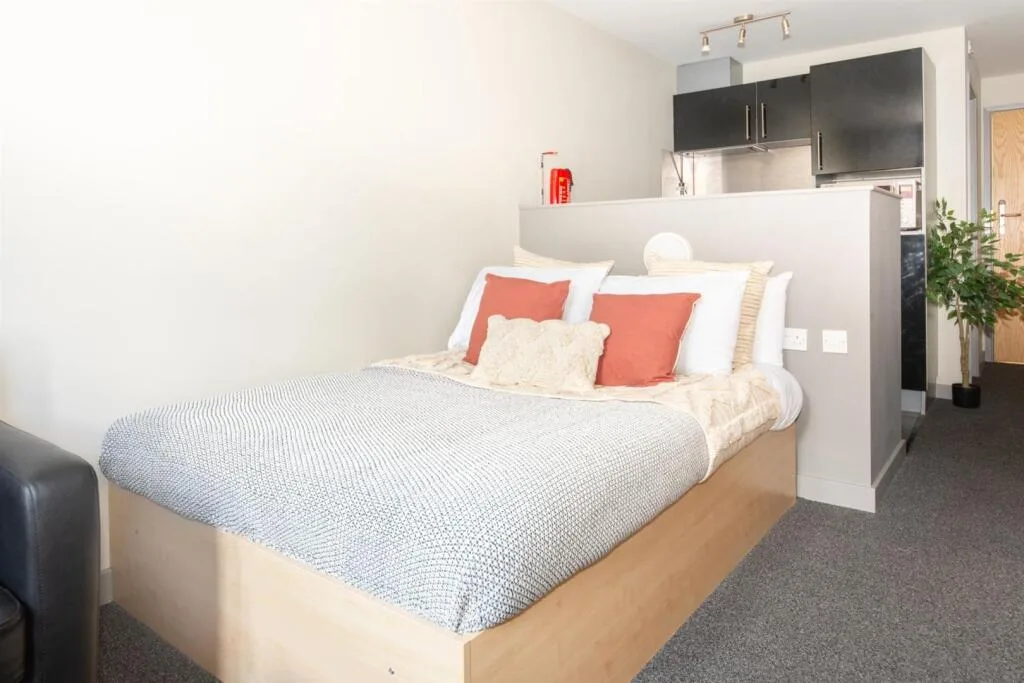 Studio flat for rent