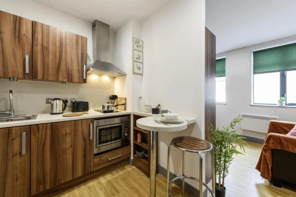 Studio flat for rent