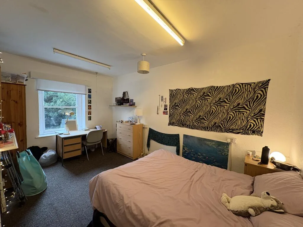 1 bedroom property for rent