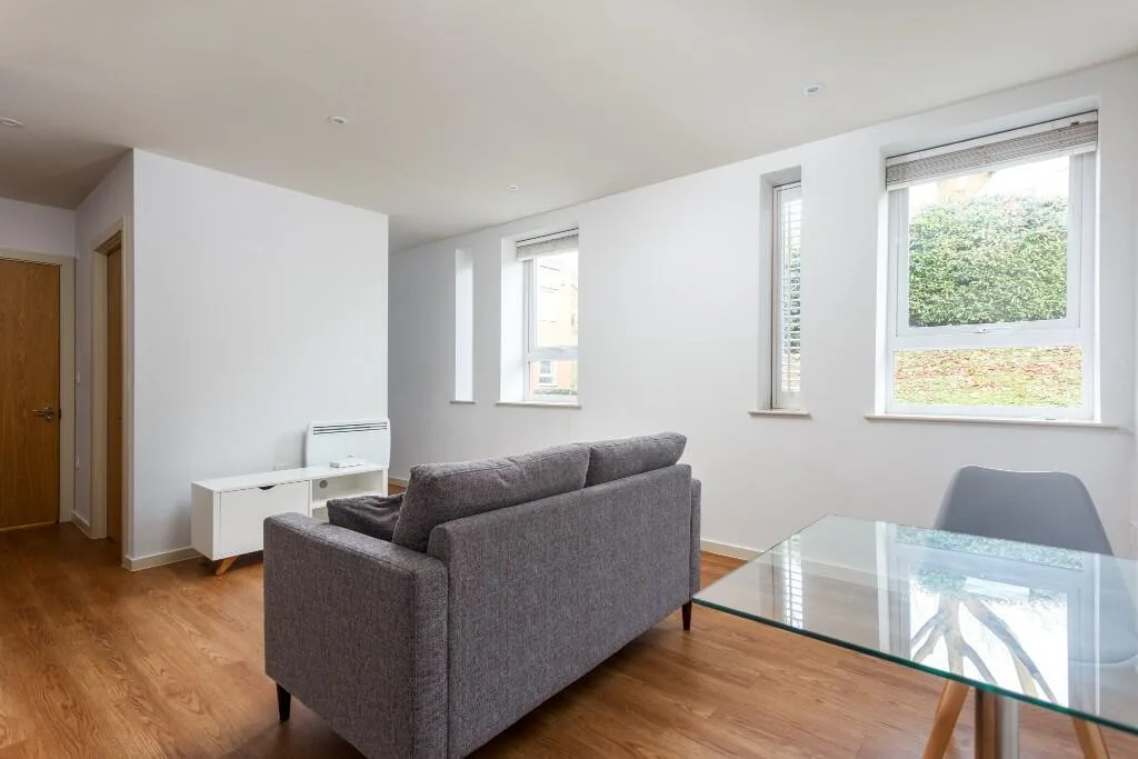 1 bedroom apartment for rent