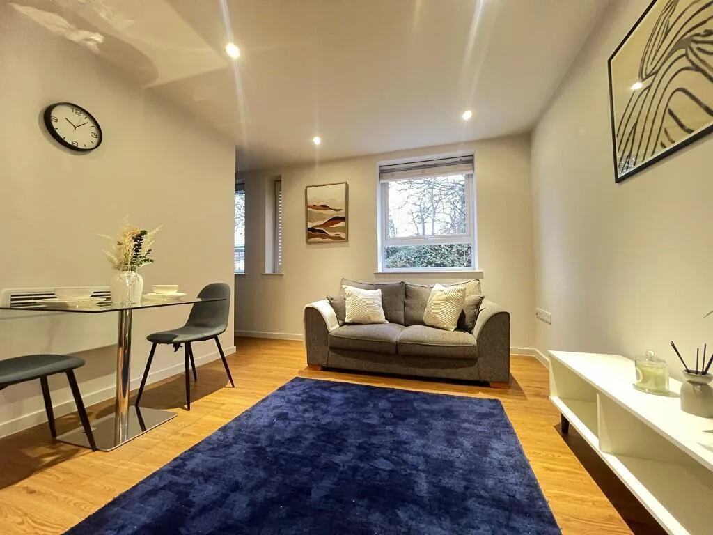 1 bedroom apartment for rent