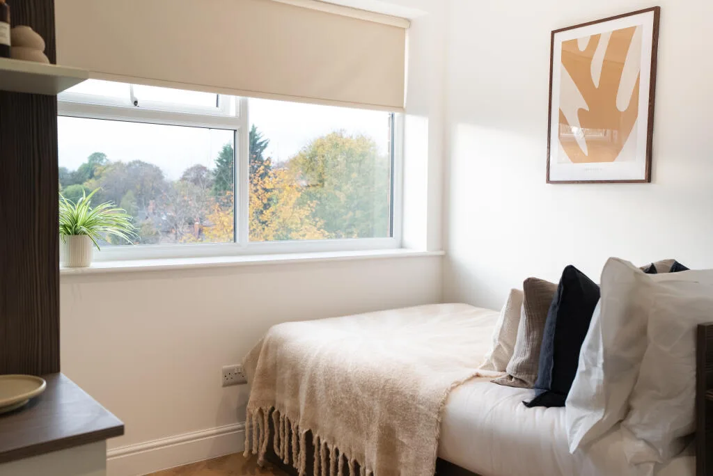 1 bedroom apartment for rent