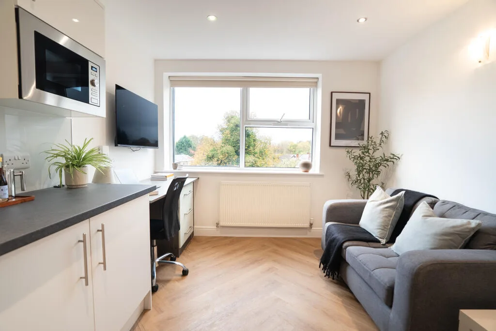 1 bedroom apartment for rent