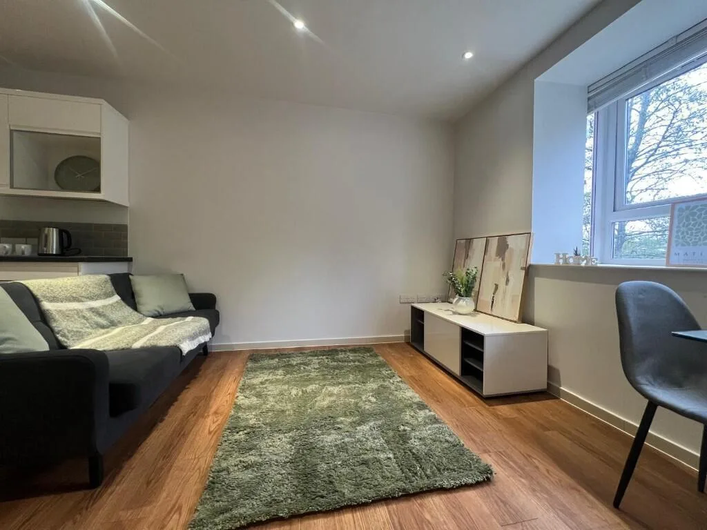 1 bedroom apartment for rent