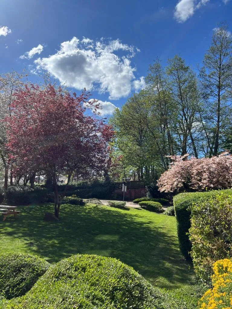 1 bedroom apartment for rent