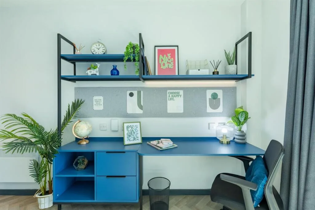 1 bedroom flat share for rent