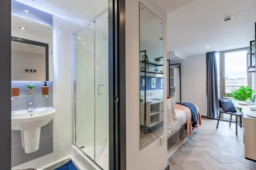 1 bedroom flat share for rent