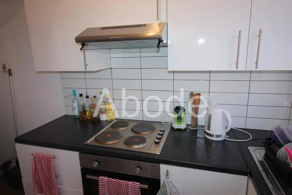 2 bedroom house for rent