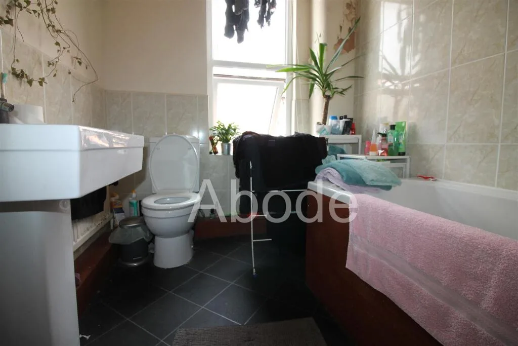 2 bedroom house for rent